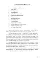 Verslo planas: Individuali Jono Jonaičio įmonė automobilių servisas 12 puslapis