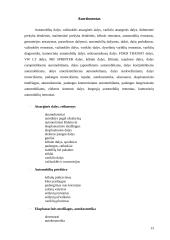 Verslo planas: Individuali Jono Jonaičio įmonė automobilių servisas 13 puslapis