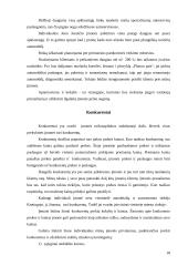 Verslo planas: Individuali Jono Jonaičio įmonė automobilių servisas 18 puslapis