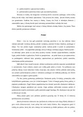 Verslo planas: Individuali Jono Jonaičio įmonė automobilių servisas 19 puslapis