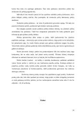 Verslo planas: Individuali Jono Jonaičio įmonė automobilių servisas 20 puslapis