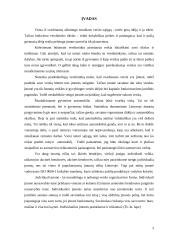 Verslo planas: Individuali Jono Jonaičio įmonė automobilių servisas 3 puslapis