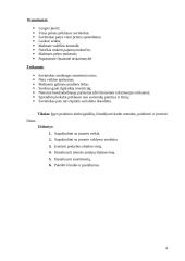 Verslo planas: Individuali Jono Jonaičio įmonė automobilių servisas 4 puslapis