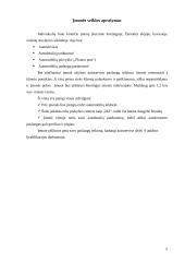 Verslo planas: Individuali Jono Jonaičio įmonė automobilių servisas 5 puslapis