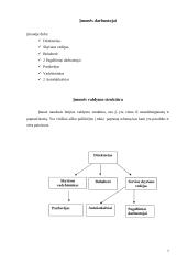Verslo planas: Individuali Jono Jonaičio įmonė automobilių servisas 7 puslapis
