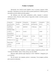 Verslo planas: Individuali Jono Jonaičio įmonė automobilių servisas 8 puslapis