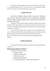 Verslo planas: Individuali Jono Jonaičio įmonė automobilių servisas 10 puslapis