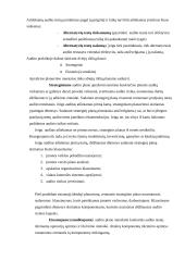 Vidaus audito etapų apibūdinimas, reikšmė ir klasifikavimas Lietuvoje 13 puslapis