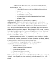 Vidaus audito etapų apibūdinimas, reikšmė ir klasifikavimas Lietuvoje 14 puslapis