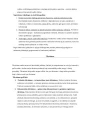 Vidaus audito etapų apibūdinimas, reikšmė ir klasifikavimas Lietuvoje 16 puslapis