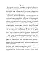 Vidaus audito etapų apibūdinimas, reikšmė ir klasifikavimas Lietuvoje 3 puslapis