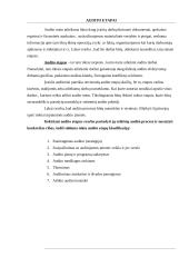 Vidaus audito etapų apibūdinimas, reikšmė ir klasifikavimas Lietuvoje 5 puslapis