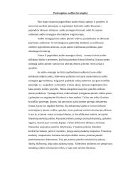 Vidaus audito etapų apibūdinimas, reikšmė ir klasifikavimas Lietuvoje 6 puslapis