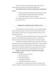 Vidaus audito etapų apibūdinimas, reikšmė ir klasifikavimas Lietuvoje 7 puslapis