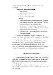 Vidaus audito etapų apibūdinimas, reikšmė ir klasifikavimas Lietuvoje 8 puslapis