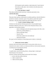 Vidaus audito etapų apibūdinimas, reikšmė ir klasifikavimas Lietuvoje 10 puslapis