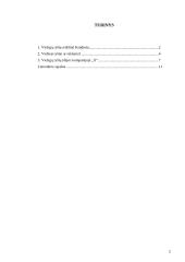 Viešieji ryšiai 2 puslapis