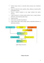 Viešieji ryšiai 9 puslapis