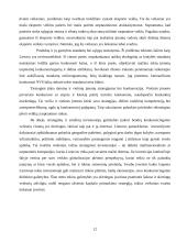 Alaus eksporto iš Lietuvos analizė: būklė, problemos, perspektyvos 11 puslapis