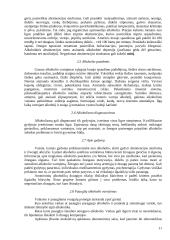 Alkoholizmas kaip socialinė problema 11 puslapis