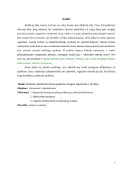 Alkoholizmas kaip socialinė problema 3 puslapis