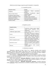 Alkoholizmas kaip socialinė problema 10 puslapis