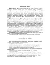 Virtos rūkytos dešros 4 puslapis