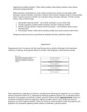 Virtuali atmintis 4 puslapis