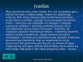 Virusai internete 2006 metais 3 puslapis