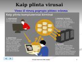 Virusai internete 2006 metais 7 puslapis