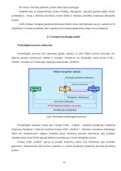 Apelsinų  pervežimo analizė: maršrutas Ispanija – Klaipėda 14 puslapis