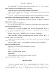 Apelsinų  pervežimo analizė: maršrutas Ispanija – Klaipėda 17 puslapis