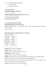 Apelsinų  pervežimo analizė: maršrutas Ispanija – Klaipėda 19 puslapis