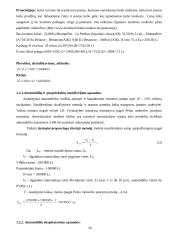 Apelsinų  pervežimo analizė: maršrutas Ispanija – Klaipėda 20 puslapis