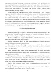 Apelsinų  pervežimo analizė: maršrutas Ispanija – Klaipėda 10 puslapis