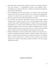 Visuomenės vaidmuo nusikalstamumo prevencijoje 13 puslapis