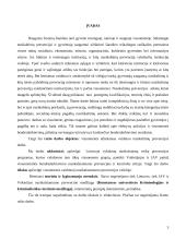 Visuomenės vaidmuo nusikalstamumo prevencijoje 3 puslapis