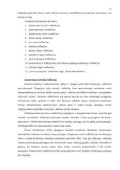 Apgyvendinimo įstaigos 19 puslapis