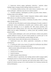 Aplinkos apsaugos vadybos sistemų pagal ISO 14001 efektyvumo tobulinimo perspektyvos 10 puslapis