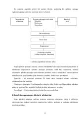 Aplinkos apsaugos vadybos sistemų pagal ISO 14001 efektyvumo tobulinimo perspektyvos 12 puslapis