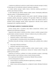 Aplinkos apsaugos vadybos sistemų pagal ISO 14001 efektyvumo tobulinimo perspektyvos 17 puslapis
