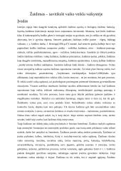 Žaidimas – savitikslė vaiko veikla vaikystėje