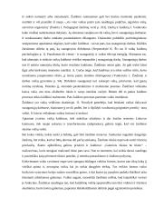 Žaidimas – savitikslė vaiko veikla vaikystėje 3 puslapis