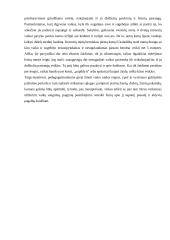 Žaidimas – savitikslė vaiko veikla vaikystėje 5 puslapis