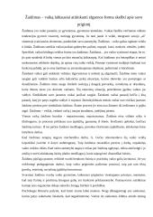 Žaidimas – savitikslė vaiko veikla vaikystėje 6 puslapis