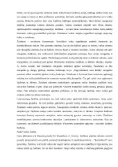 Žaidimas – savitikslė vaiko veikla vaikystėje 7 puslapis