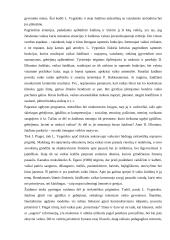 Žaidimas – savitikslė vaiko veikla vaikystėje 9 puslapis