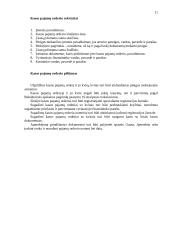 Apskaitos principai 11 puslapis