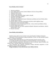 Apskaitos principai 12 puslapis