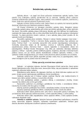 Apskaitos principai 13 puslapis